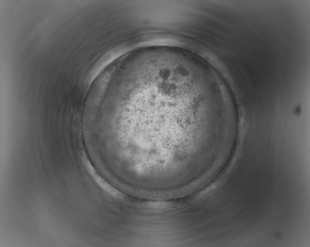 X0000116671425200912291649