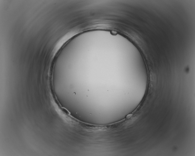 X0000116671426200912291649