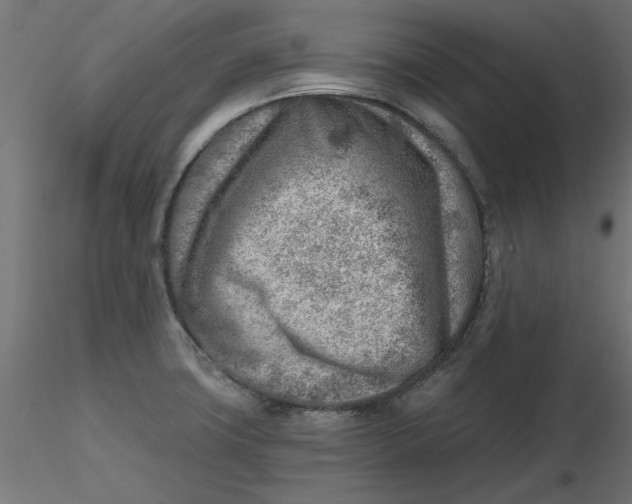 X0000116671427200912291649