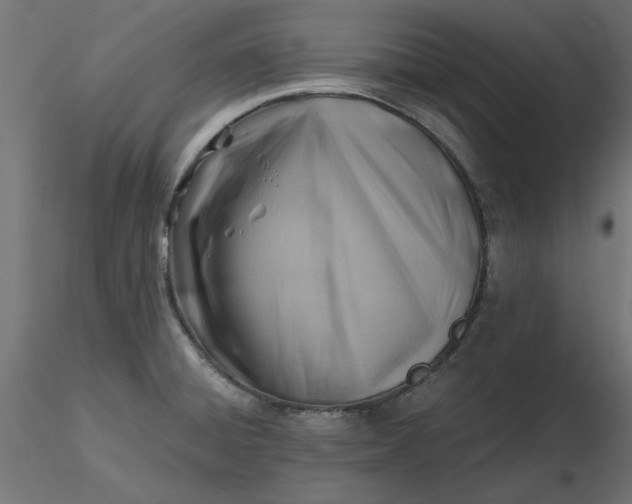 X0000116671428200912291649