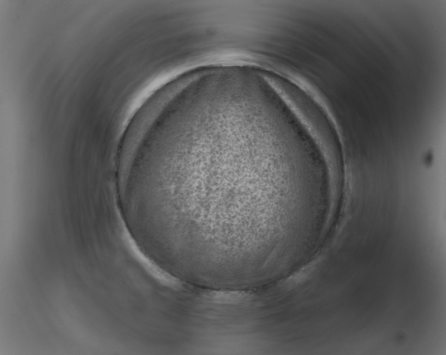 X0000116671429200912291649