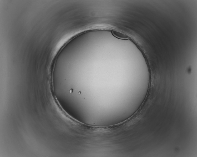 X0000116671430200912291649