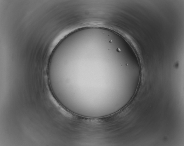 X0000116671432200912291649