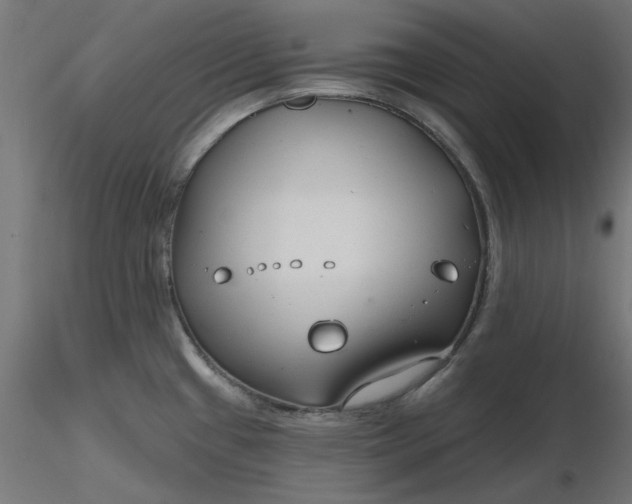 X0000116671433200912291649