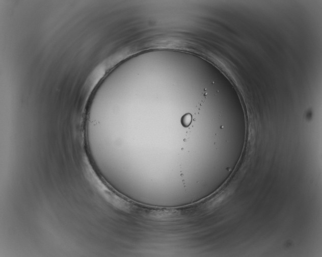 X0000116671434200912291649