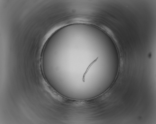 X0000116671435200912291649