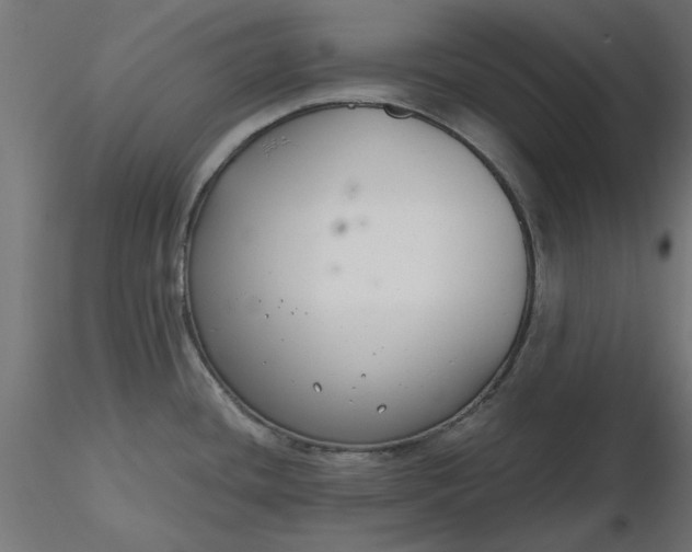 X0000116671436200912291649