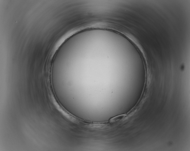 X0000116671437200912291649