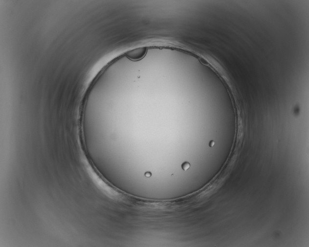 X0000116671438200912291649