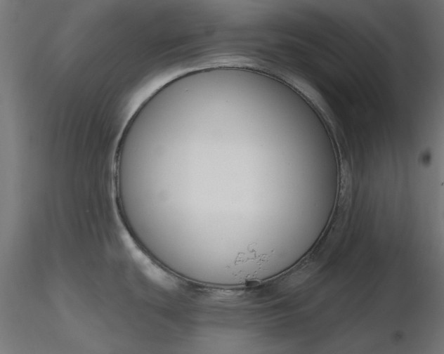 X0000116671439200912291649