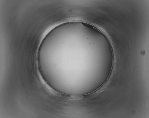 X0000116671440200912291649