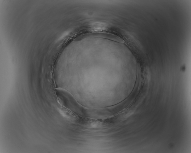 X0000116671441200912291648