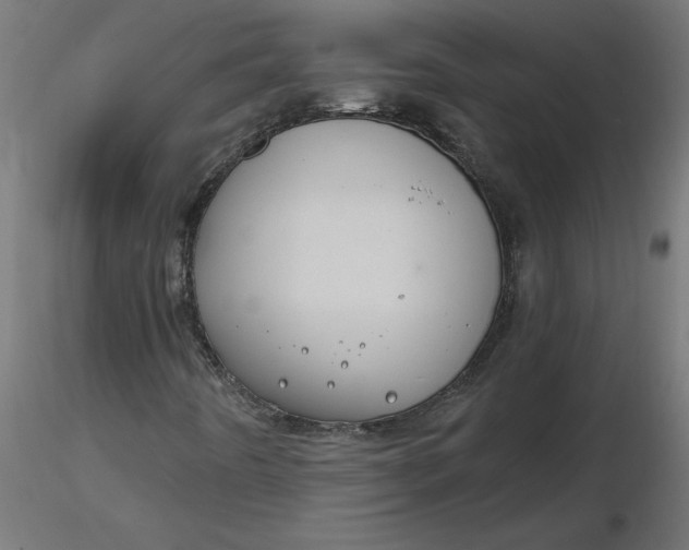 X0000116671442200912291648