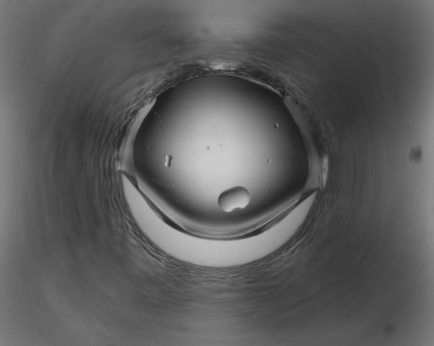 X0000116671443200912291648