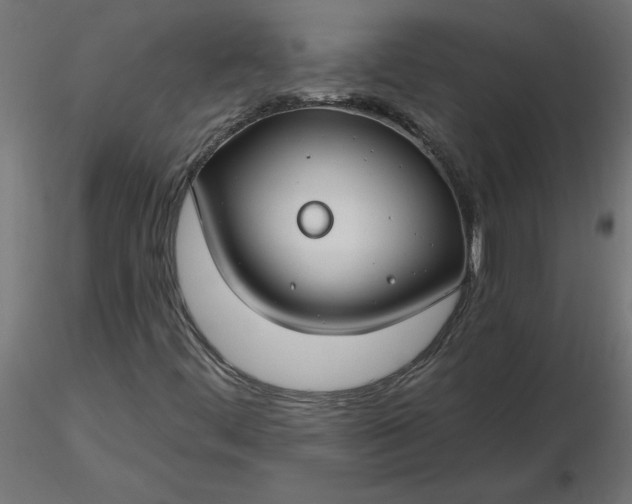 X0000116671444200912291648