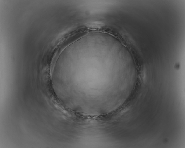 X0000116671445200912291648