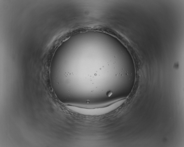 X0000116671447200912291648