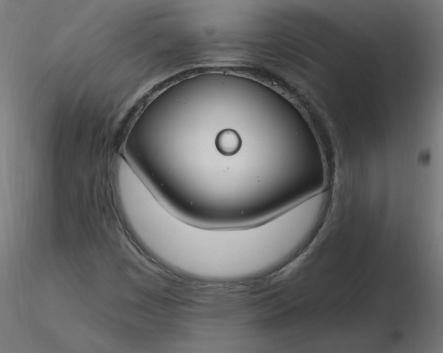 X0000116671449200912291648