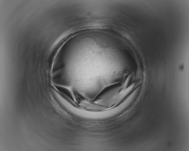 X0000116671450200912291648