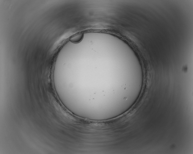 X0000116671451200912291648