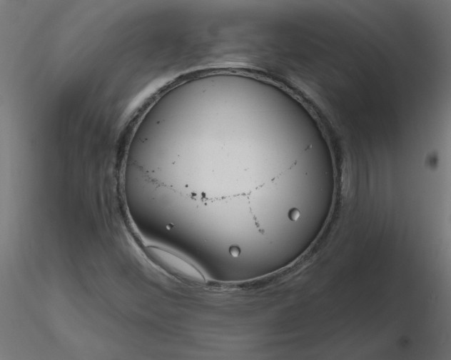 X0000116671452200912291648