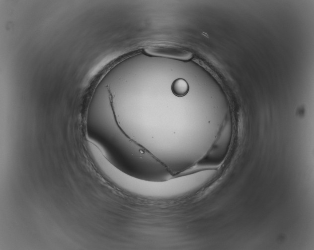 X0000116671453200912291648