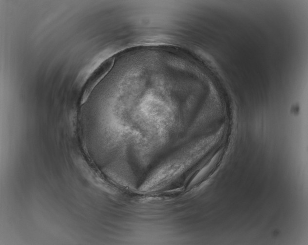 X0000116671457200912291648