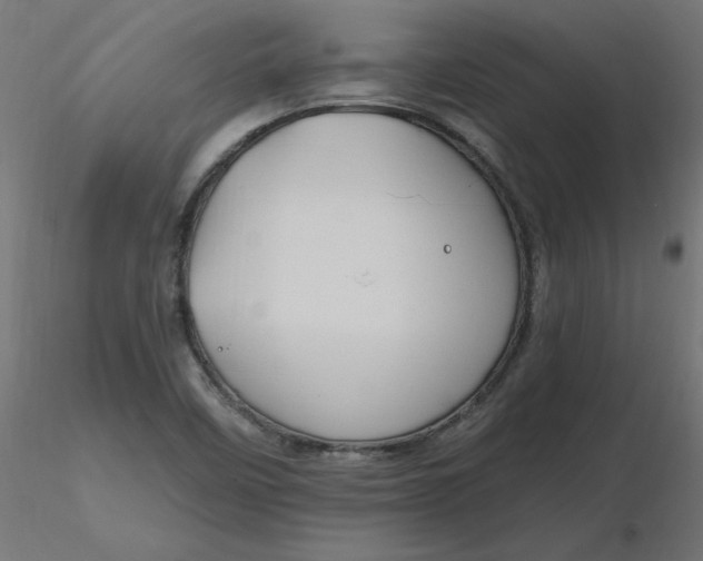 X0000116671458200912291648