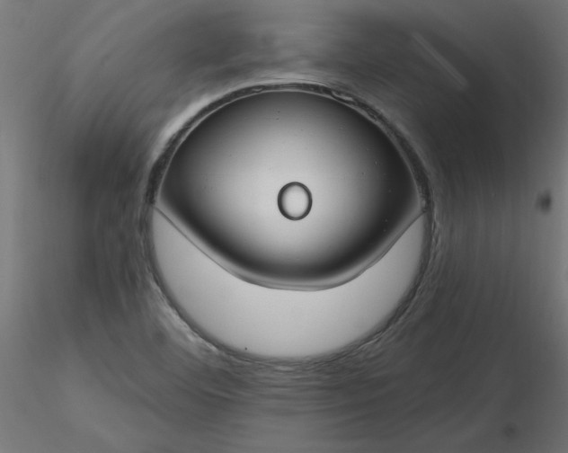 X0000116671460200912291648