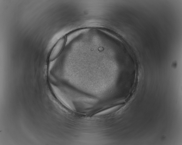 X0000116671461200912291648