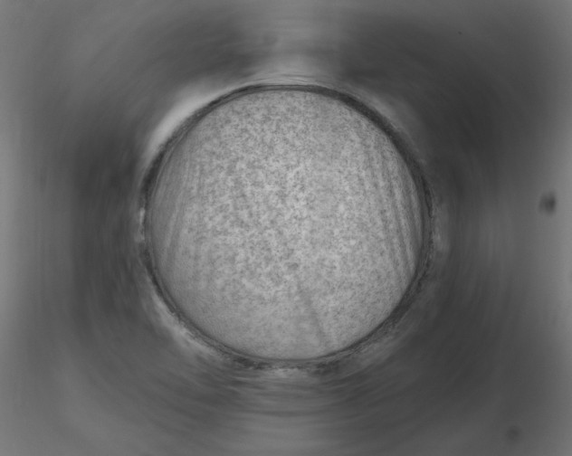 X0000116671462200912291648