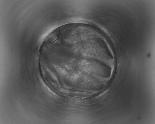 X0000116671463200912291648