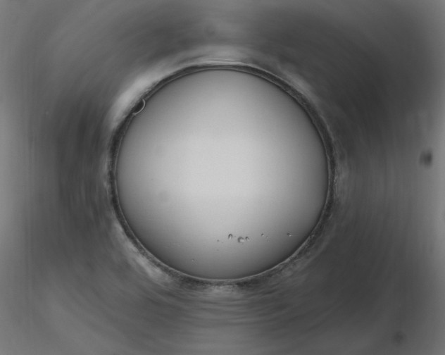 X0000116671464200912291648