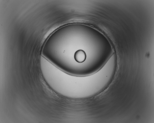 X0000116671465200912291648