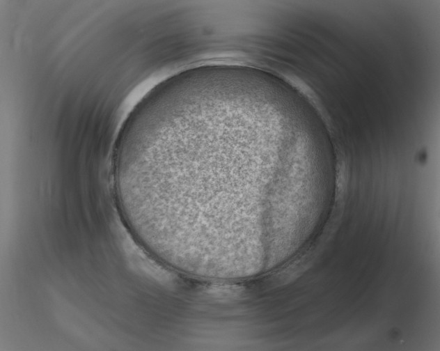 X0000116671466200912291648