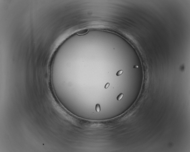 X0000116671467200912291648