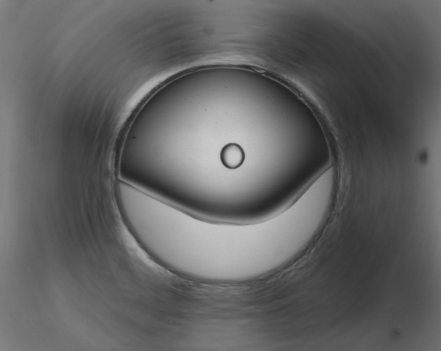 X0000116671468200912291648