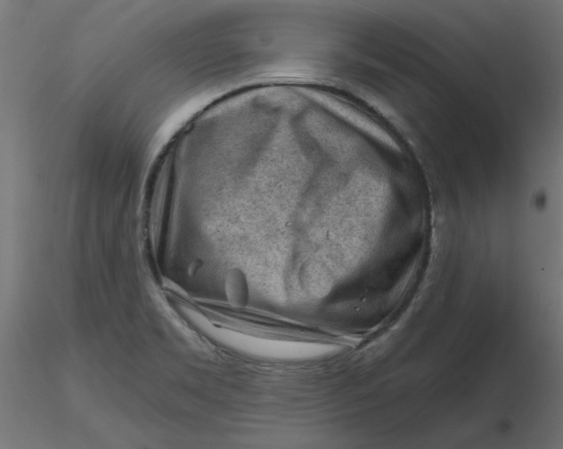 X0000116671469200912291648