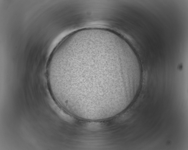 X0000116671470200912291648