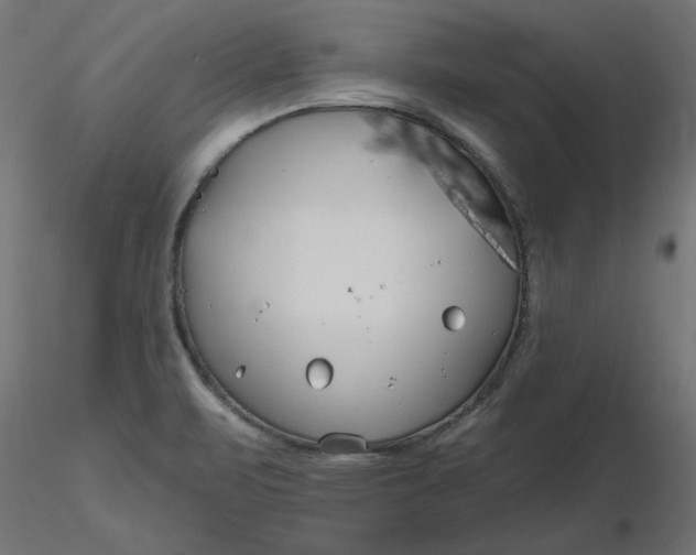 X0000116671471200912291648