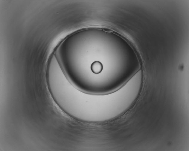 X0000116671472200912291648