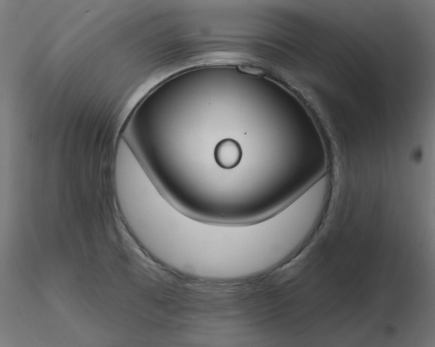 X0000116671473200912291648