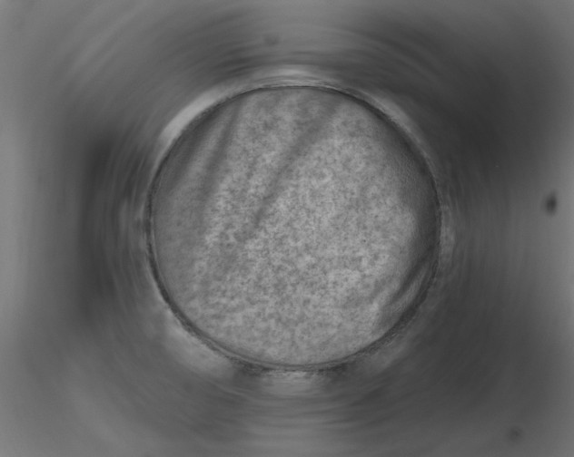 X0000116671474200912291648