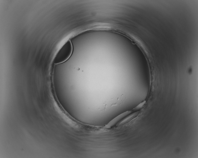 X0000116671475200912291648