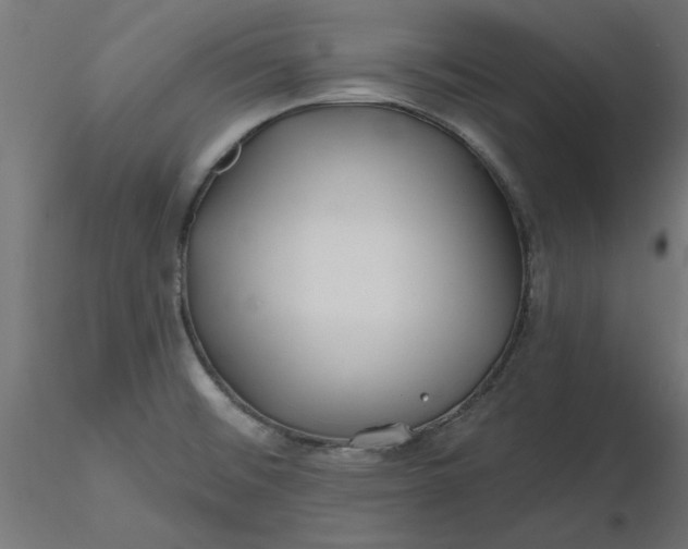 X0000116671476200912291648