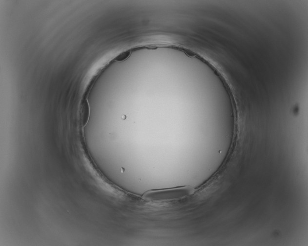 X0000116671477200912291648