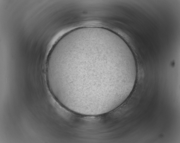 X0000116671478200912291648