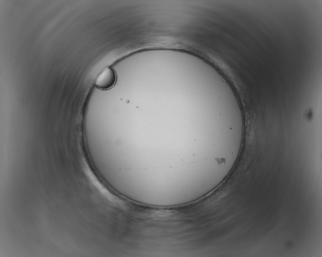 X0000116671479200912291648