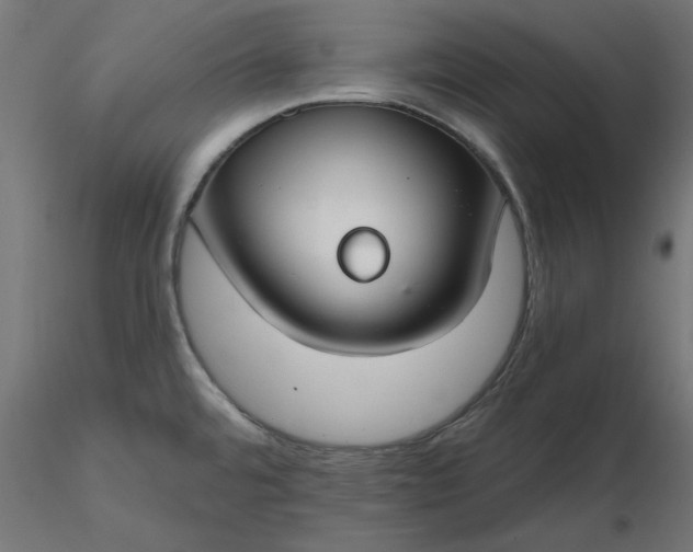 X0000116671480200912291648