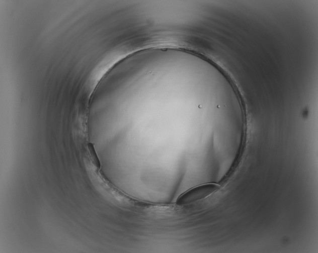 X0000116671481200912291648